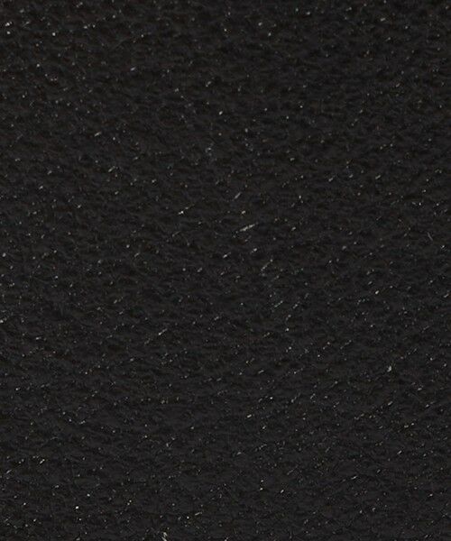 TOMORROWLAND / トゥモローランド その他小物 | Atelier TOMORROWLAND TRINCKET マルチケース | 詳細11