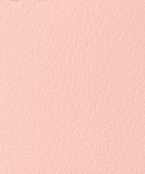 TOMORROWLAND / トゥモローランド その他小物 | Atelier TOMORROWLAND TRINCKET マルチケース | 詳細12