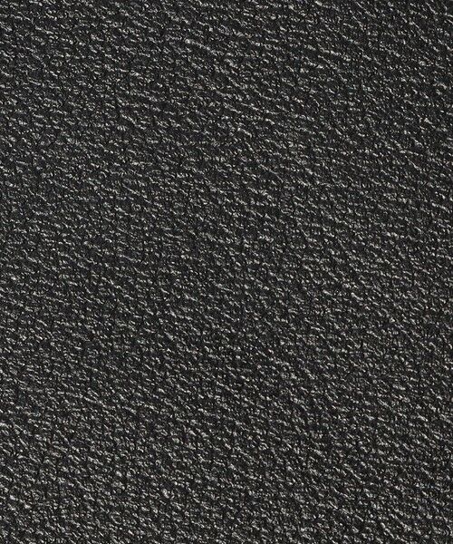 TOMORROWLAND / トゥモローランド その他小物 | Atelier TOMORROWLAND ID ケース | 詳細10