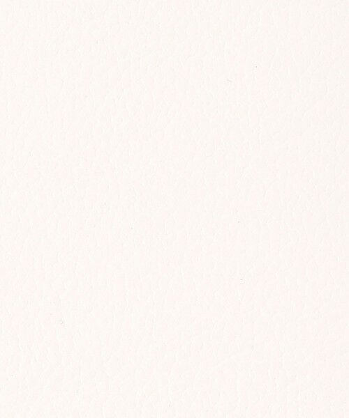 TOMORROWLAND / トゥモローランド その他小物 | Atelier TOMORROWLAND ID ケース | 詳細9