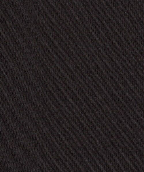 TOMORROWLAND / トゥモローランド カットソー（半袖以外） | スーピマコットン フライスベスト | 詳細11