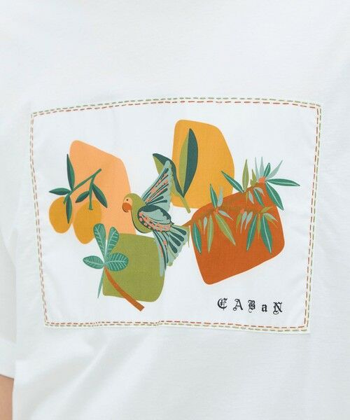 TOMORROWLAND / トゥモローランド Tシャツ | CABaN スビンコットン BIRDプリントTシャツ | 詳細5
