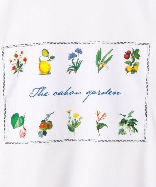 CABaN スビンコットン GREEN SHOWERプリントTシャツ