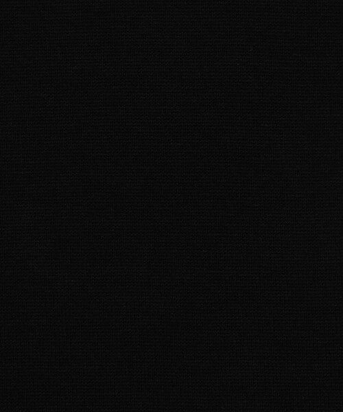 TOMORROWLAND / トゥモローランド カットソー | スーピマコットン ニットコンビ ハーフスリーブカットソー | 詳細11