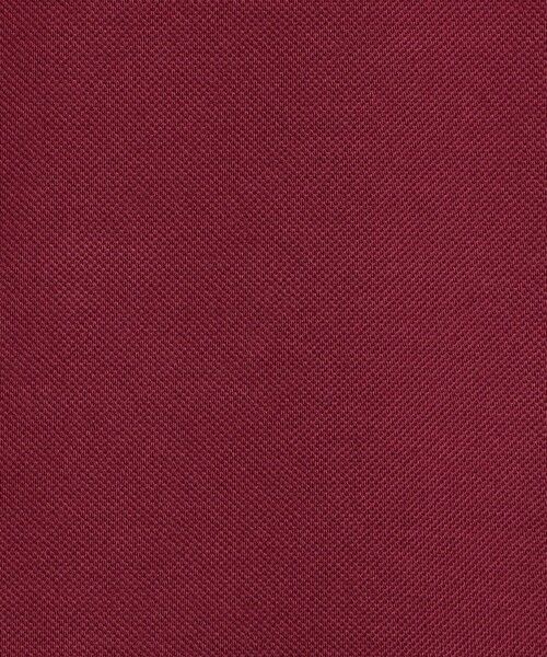 TOMORROWLAND / トゥモローランド ポロシャツ | ギザコットン メッシュポロシャツ | 詳細9