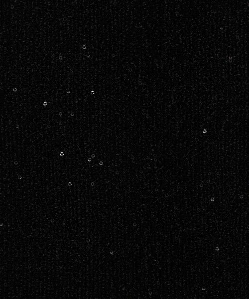 TOMORROWLAND / トゥモローランド ロング・マキシ丈スカート | ストレッチスパンコール タイトロングスカート | 詳細10