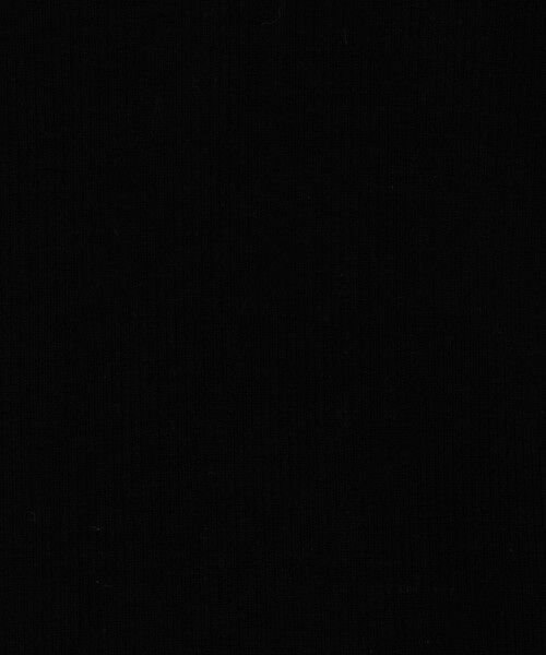 TOMORROWLAND / トゥモローランド ニット・セーター | ウーステッドウールファインリブ Vネックプルオーバー | 詳細11
