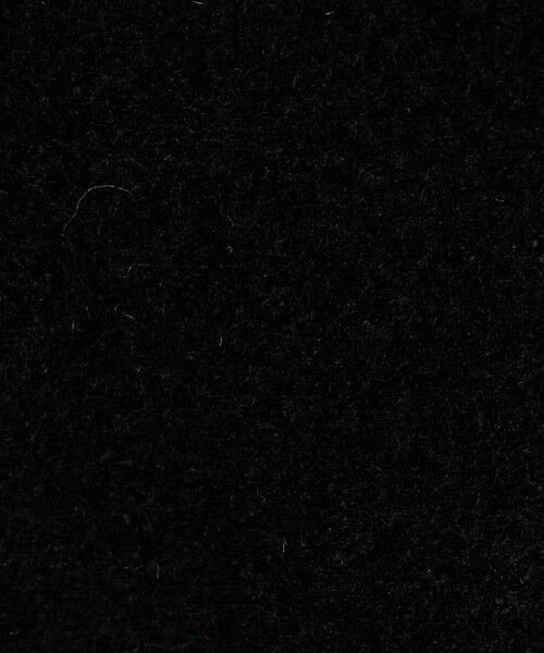 TOMORROWLAND / トゥモローランド パーカー | ブライトベロア フーディー | 詳細9