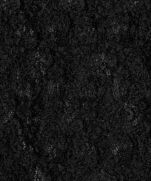 TOMORROWLAND / トゥモローランド カットソー | ストレッチレース クルーネックトップ | 詳細10