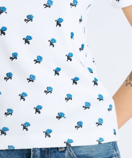 TOMORROWLAND / トゥモローランド Tシャツ | コットンモダールフライス フラワープリント Tシャツ | 詳細8