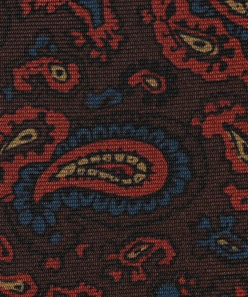 TOMORROWLAND / トゥモローランド ネクタイ | ERRICO FORMICOLA シルクプリント ペイズリー柄ネクタイ | 詳細4