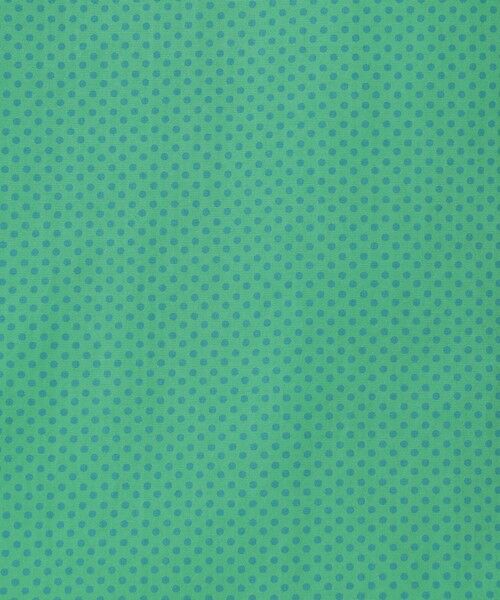 TOMORROWLAND / トゥモローランド シャツ・ブラウス | ERRICO FORMICOLA コットン レギュラーカラー ドットシャツ | 詳細11