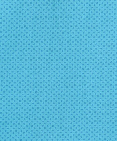 TOMORROWLAND / トゥモローランド シャツ・ブラウス | ERRICO FORMICOLA コットン レギュラーカラー ドットシャツ | 詳細12