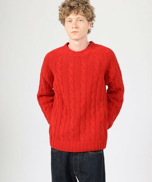 TOMORROWLAND / トゥモローランド ニット・セーター | INVERALLAN ウールケーブル クルーネックプルオーバーニット | 詳細1