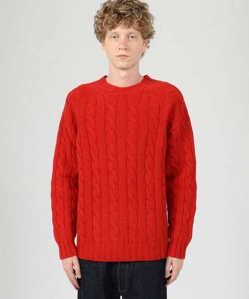 TOMORROWLAND / トゥモローランド ニット・セーター | INVERALLAN ウールケーブル クルーネックプルオーバーニット | 詳細2