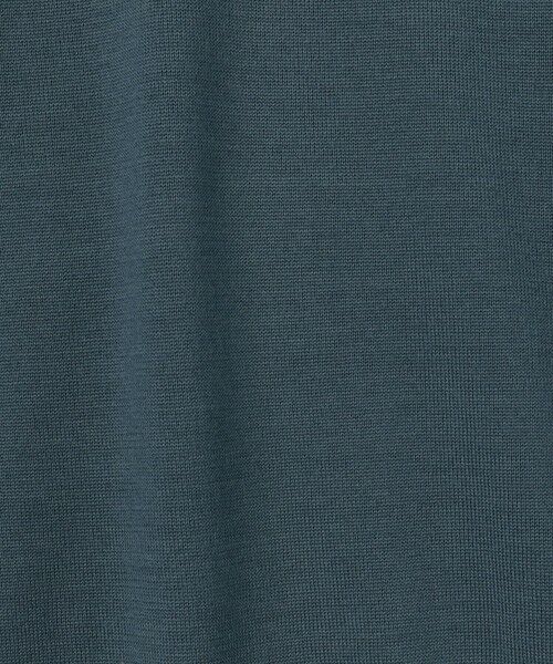 TOMORROWLAND / トゥモローランド ニット・セーター | TOMORROWLAND tricot スーパーファインメリノウール ニットポロシャツ S-WOOL | 詳細9