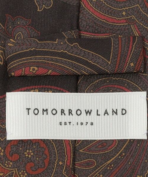 TOMORROWLAND / トゥモローランド ネクタイ | TOMORROWLAND シルクプリント ペイズリー柄ネクタイ | 詳細3