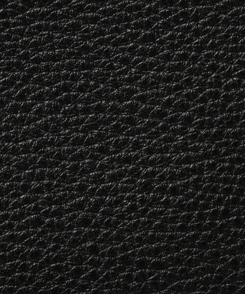 TOMORROWLAND / トゥモローランド ショルダーバッグ | 【別注】A NAUHA L シュリンクレザー ショルダーバッグ | 詳細12