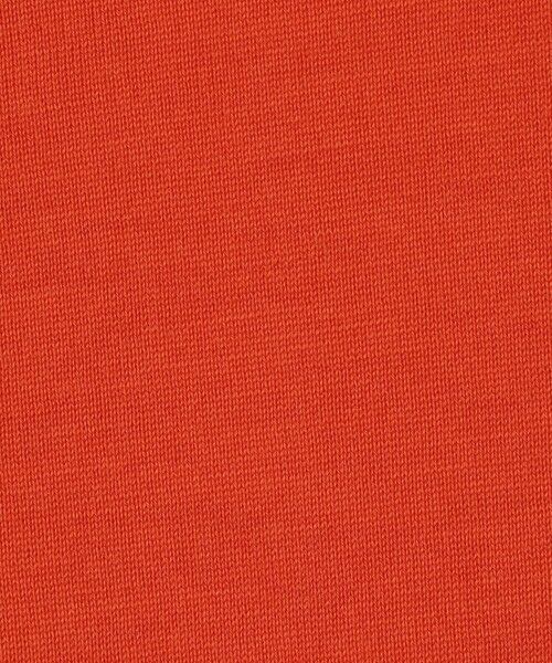 TOMORROWLAND / トゥモローランド ニット・セーター | JOHN SMEDLEY  DORSET メリノウール ポロカラープルオーバーニット | 詳細10