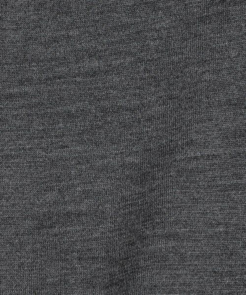 TOMORROWLAND / トゥモローランド ニット・セーター | JOHN SMEDLEY  DORSET メリノウール ポロカラープルオーバーニット | 詳細11