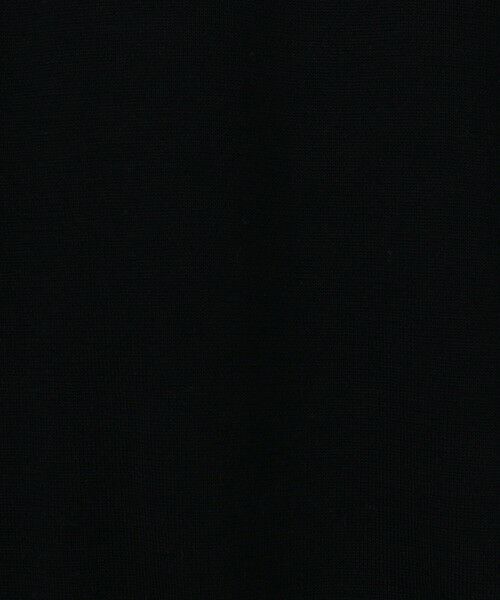 TOMORROWLAND / トゥモローランド ニット・セーター | TOMORROWLAND tricot スーパーファインメリノウール タートルネック S-WOOL | 詳細12