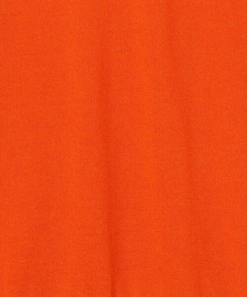 TOMORROWLAND / トゥモローランド ニット・セーター | TOMORROWLAND tricot カシミヤ クルーネックプルオーバー | 詳細10