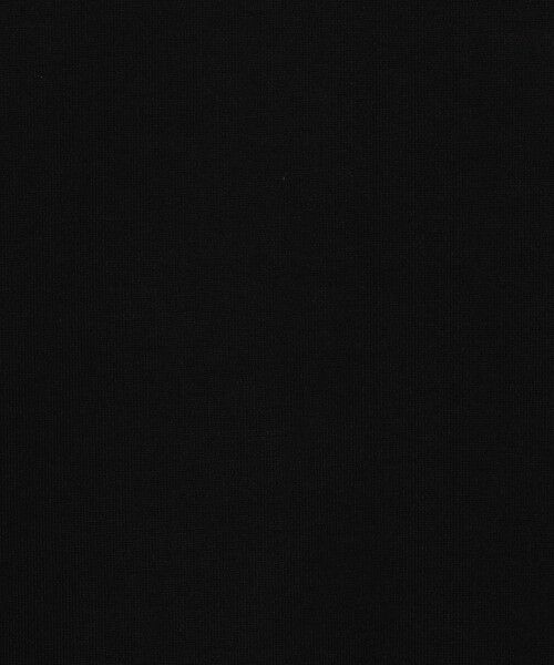 TOMORROWLAND / トゥモローランド カットソー | 60/3スビンコットン タートルネック ロングスリーブカットソー | 詳細11