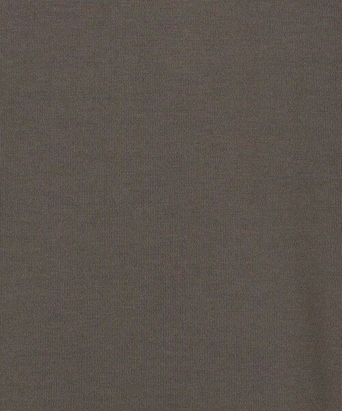 TOMORROWLAND / トゥモローランド カットソー | 60/3スビンコットン タートルネック ロングスリーブカットソー | 詳細12