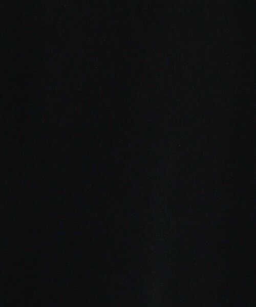 TOMORROWLAND / トゥモローランド シャツ・ブラウス | 【WEB先行予約】プリマベーラデシン タイブラウス | 詳細9