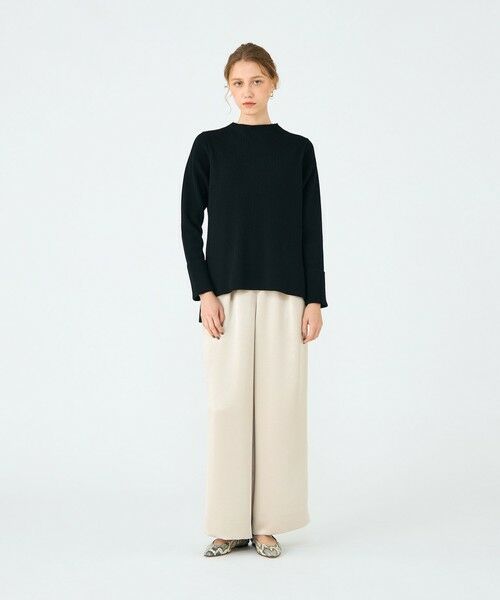 TOMORROWLAND / トゥモローランド ニット・セーター | リンクスリブ ビルドネックプルオーバー | 詳細1