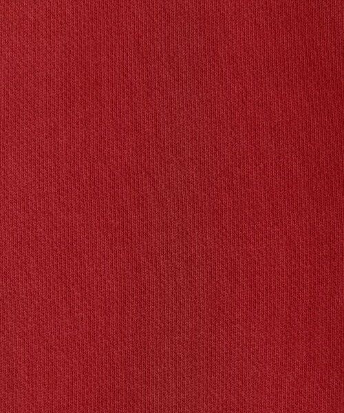 TOMORROWLAND / トゥモローランド パーカー | グレイトフル デッド パーカー WQU3640GRD | 詳細11