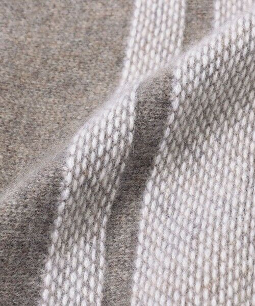 TOMORROWLAND / トゥモローランド その他雑貨 | バハストライプシャム HCG9863 | 詳細5