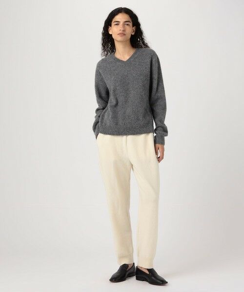 TOMORROWLAND / トゥモローランド ニット・セーター | ベビーアルパカボイルド Vネックプルオーバー | 詳細1