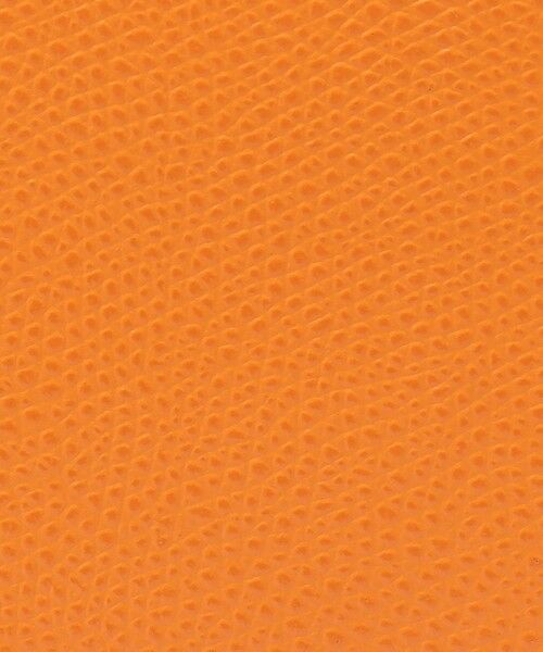 TOMORROWLAND / トゥモローランド ハンドバッグ | CARBOTTI LICIA バッグ | 詳細12