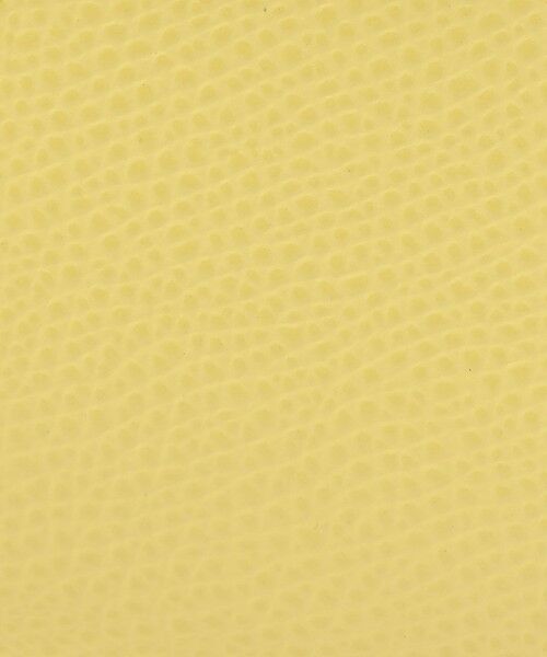 TOMORROWLAND / トゥモローランド ハンドバッグ | CARBOTTI LICIA バッグ | 詳細14