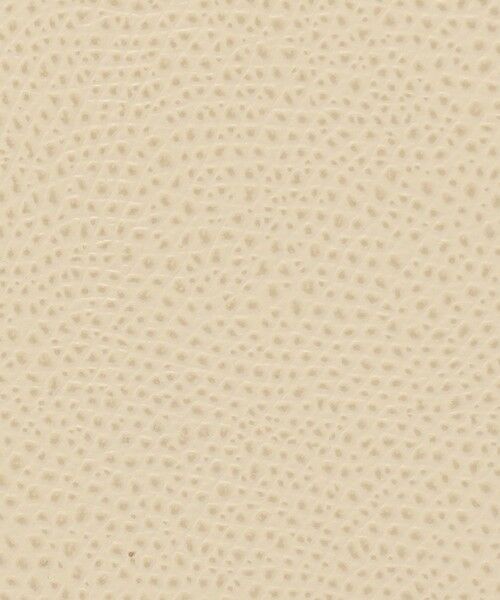 TOMORROWLAND / トゥモローランド ハンドバッグ | CARBOTTI LICIA バッグ | 詳細12