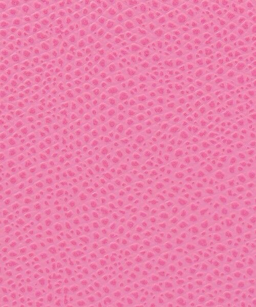 TOMORROWLAND / トゥモローランド ハンドバッグ | CARBOTTI LICIA バッグ | 詳細16