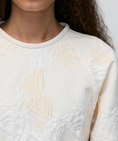 TOMORROWLAND / トゥモローランド シャツ・ブラウス | 【WEB先行予約】マトラッセ ラグランスリーブプルオーバーブラウス | 詳細5