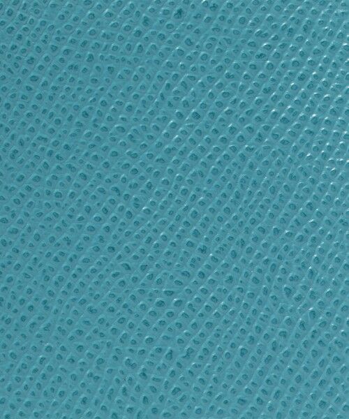 TOMORROWLAND / トゥモローランド その他小物 | 【別注】BROOKLYN MUSEUM シュリンクレザー ボトルケース | 詳細10