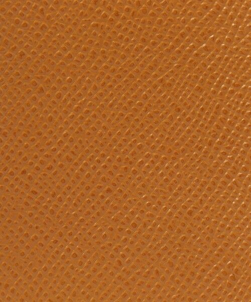 TOMORROWLAND / トゥモローランド その他小物 | 【別注】BROOKLYN MUSEUM シュリンクレザー ボトルケース | 詳細8