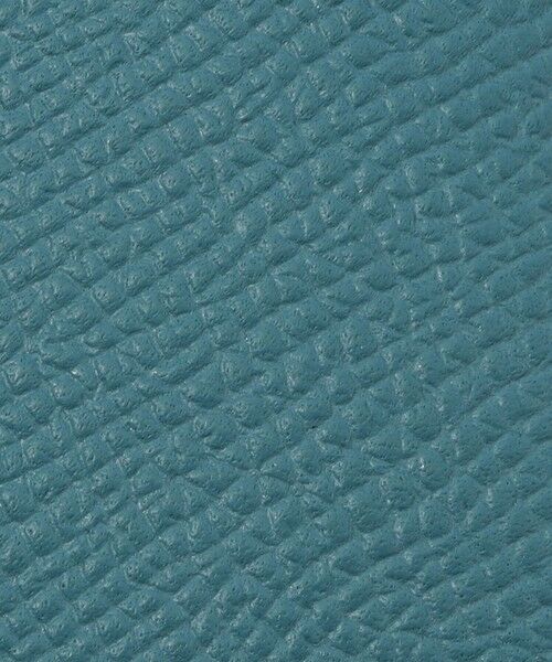 TOMORROWLAND / トゥモローランド その他小物 | 【別注】BROOKLYN MUSEUM シュリンクレザー ペンケース | 詳細13