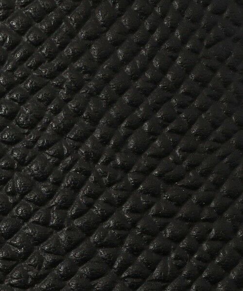 TOMORROWLAND / トゥモローランド その他小物 | 【別注】BROOKLYN MUSEUM シュリンクレザー ペンケース | 詳細5