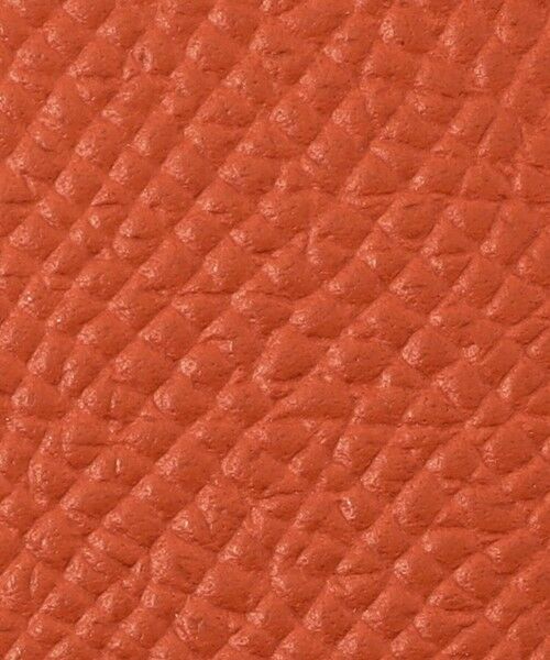 TOMORROWLAND / トゥモローランド その他小物 | 【別注】BROOKLYN MUSEUM シュリンクレザー ペンケース | 詳細7