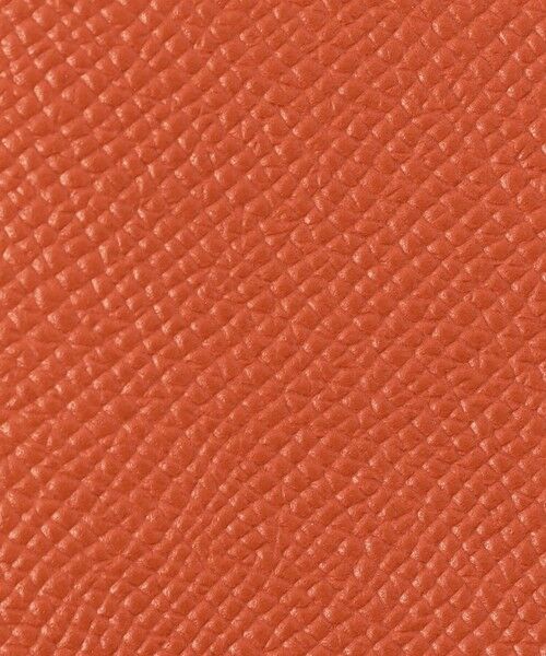 TOMORROWLAND / トゥモローランド その他小物 | 【別注】BROOKLYN MUSEUM シュリンクレザー メガネケース | 詳細10