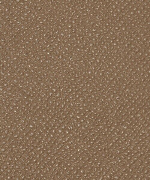 TOMORROWLAND / トゥモローランド その他小物 | 【別注】BROOKLYN MUSEUM シュリンクレザー メガネケース | 詳細13