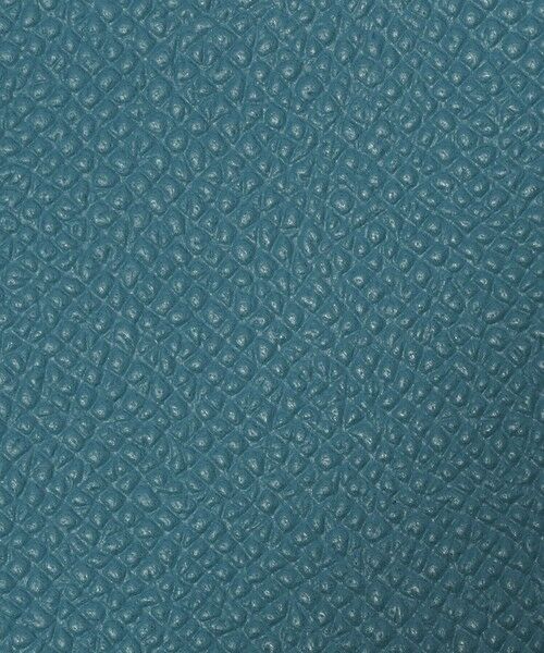 TOMORROWLAND / トゥモローランド その他小物 | 【別注】BROOKLYN MUSEUM シュリンクレザー メガネケース | 詳細19