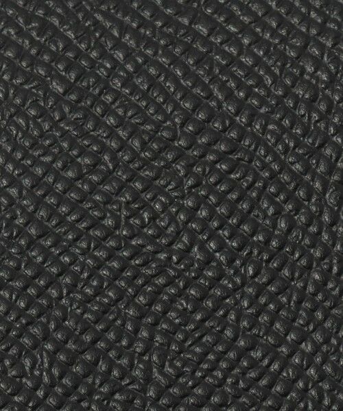 TOMORROWLAND / トゥモローランド キーケース | 【別注】BROOKLYN MUSEUM シュリンクレザー キーケース | 詳細10