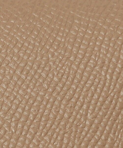 TOMORROWLAND / トゥモローランド キーケース | 【別注】BROOKLYN MUSEUM シュリンクレザー キーケース | 詳細12