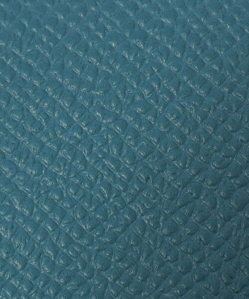 TOMORROWLAND / トゥモローランド キーケース | 【別注】BROOKLYN MUSEUM シュリンクレザー キーケース | 詳細8