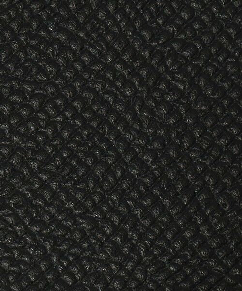 TOMORROWLAND / トゥモローランド 財布・コインケース・マネークリップ | 【別注】BROOKLYN MUSEUM シュリンクレザー フラグメントケース | 詳細12